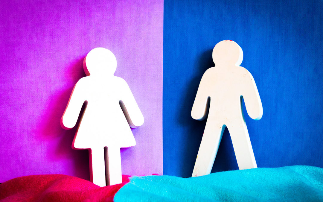 He Said, She Said, They Said: A Look at Gender