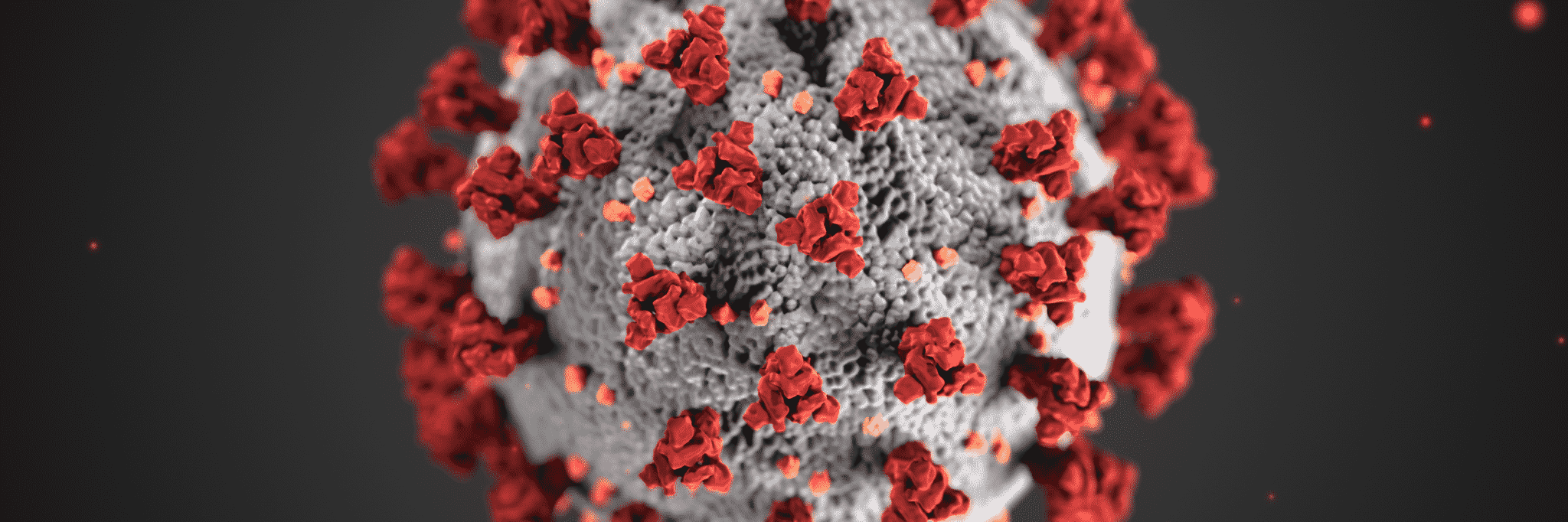 Coronavirus (Image source: U.S. Department of State)
