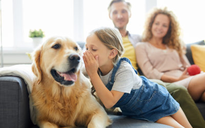 Pets Boost Children’s Well-being