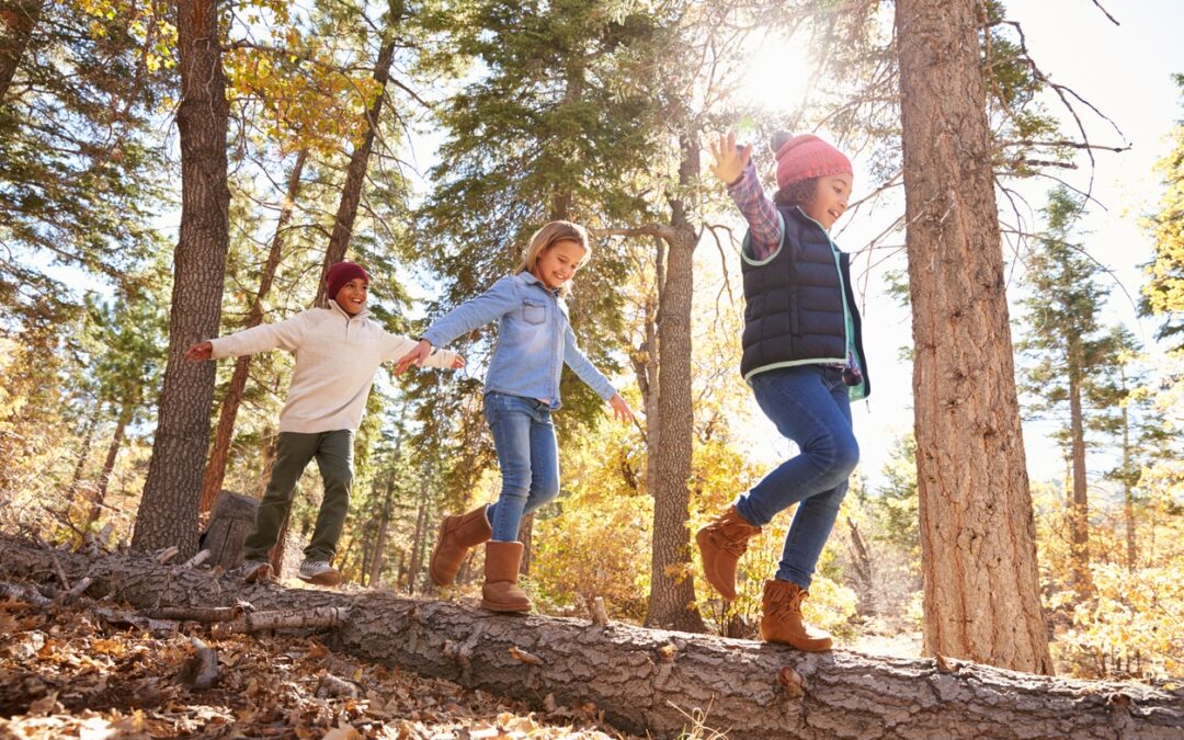 Finding Healing in Mother Nature